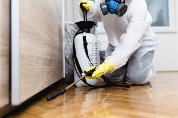 Flea Control Services in Tallulah, LA