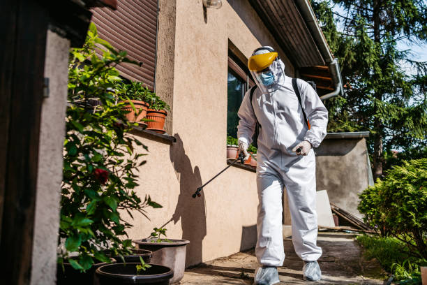 Best Pest Control Cost  in Talluh, LA