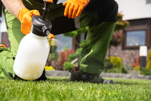 Best Commercial Pest Control Services  in Talluh, LA