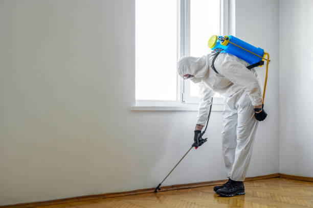 Professional Pest Control in Tallulah, LA