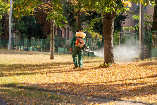 Best Wildlife Control Services  in Talluh, LA