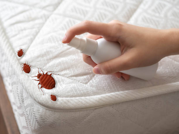 Best Affordable Pest Control Services  in Talluh, LA