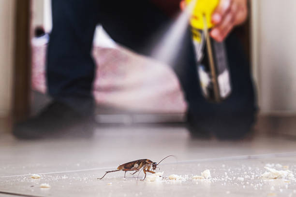Pest Control Cost in Tallulah, LA