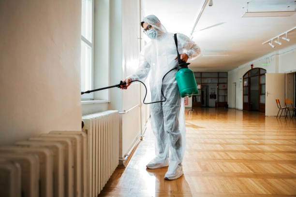 Best Affordable Pest Control Services  in Talluh, LA