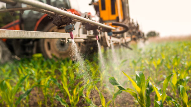 Best Mosquito Control Services  in Talluh, LA